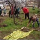 Photo of Residents of Cahul helping build the central community park envisioned by Nicolae Dandis.