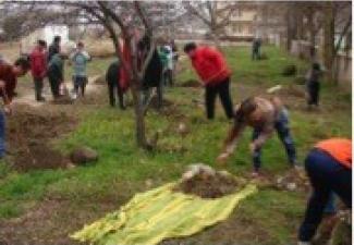 Photo of  Green Project in Moldova.